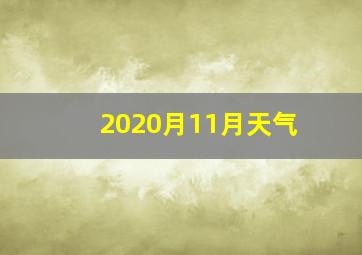 2020月11月天气