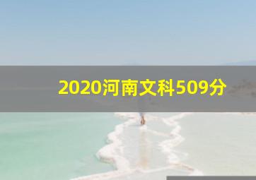 2020河南文科509分