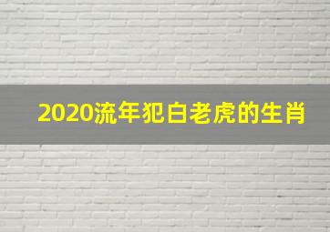 2020流年犯白老虎的生肖