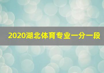 2020湖北体育专业一分一段