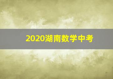 2020湖南数学中考