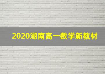 2020湖南高一数学新教材