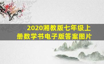 2020湘教版七年级上册数学书电子版答案图片