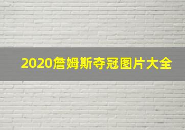 2020詹姆斯夺冠图片大全