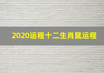 2020运程十二生肖鼠运程