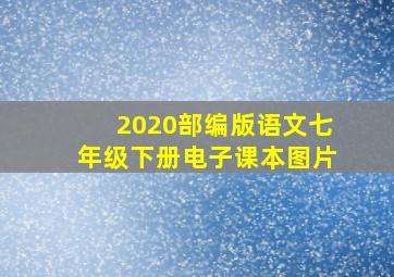 2020部编版语文七年级下册电子课本图片