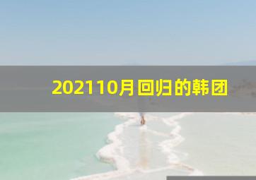 202110月回归的韩团