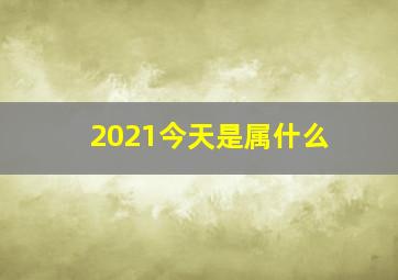 2021今天是属什么