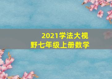 2021学法大视野七年级上册数学