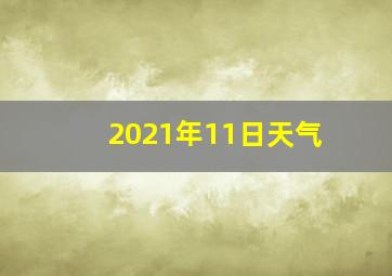 2021年11日天气