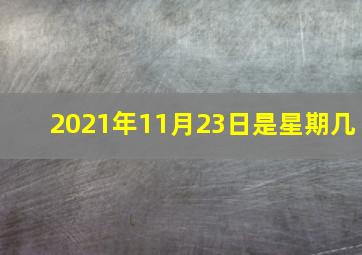 2021年11月23日是星期几