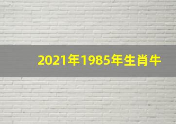 2021年1985年生肖牛