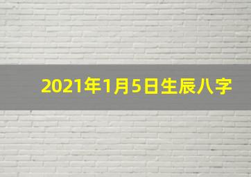 2021年1月5日生辰八字