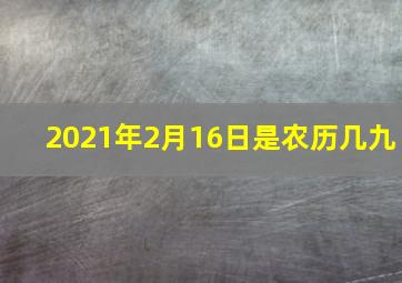 2021年2月16日是农历几九