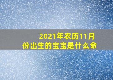 2021年农历11月份出生的宝宝是什么命