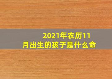 2021年农历11月出生的孩子是什么命