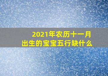 2021年农历十一月出生的宝宝五行缺什么