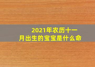 2021年农历十一月出生的宝宝是什么命