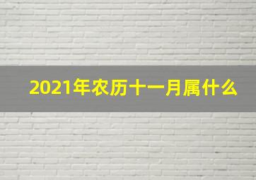 2021年农历十一月属什么