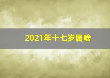 2021年十七岁属啥