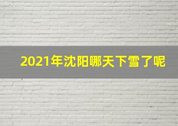 2021年沈阳哪天下雪了呢