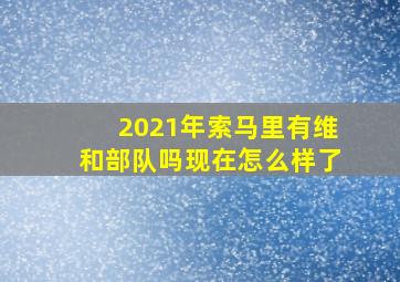 2021年索马里有维和部队吗现在怎么样了