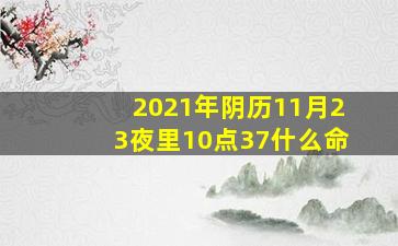 2021年阴历11月23夜里10点37什么命