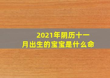 2021年阴历十一月出生的宝宝是什么命