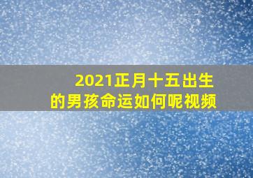 2021正月十五出生的男孩命运如何呢视频