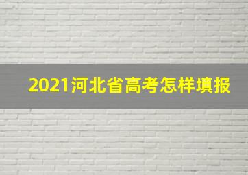 2021河北省高考怎样填报