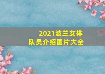 2021波兰女排队员介绍图片大全