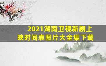 2021湖南卫视新剧上映时间表图片大全集下载