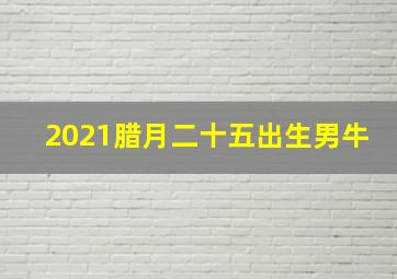 2021腊月二十五出生男牛