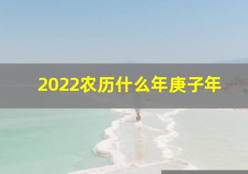 2022农历什么年庚子年