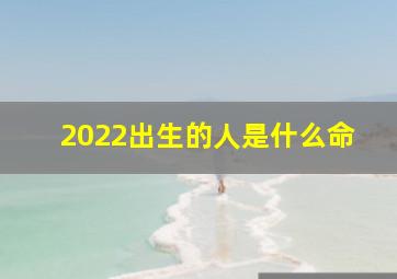 2022出生的人是什么命