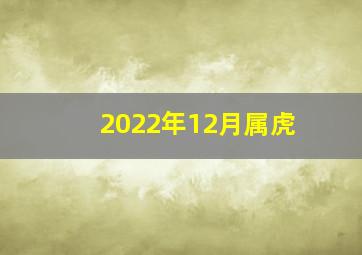 2022年12月属虎