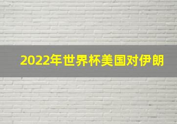 2022年世界杯美国对伊朗