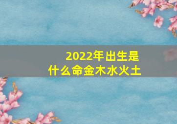 2022年出生是什么命金木水火土