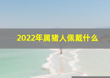 2022年属猪人佩戴什么