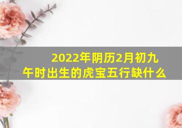 2022年阴历2月初九午时出生的虎宝五行缺什么