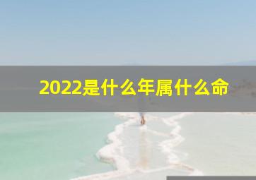 2022是什么年属什么命