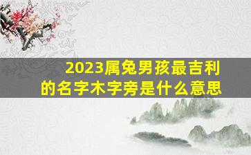 2023属兔男孩最吉利的名字木字旁是什么意思