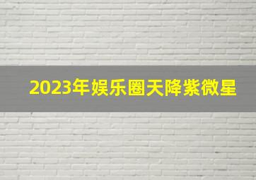 2023年娱乐圈天降紫微星