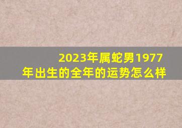 2023年属蛇男1977年出生的全年的运势怎么样