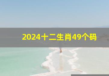 2024十二生肖49个码