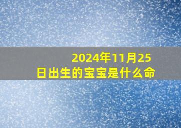 2024年11月25日出生的宝宝是什么命