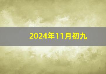 2024年11月初九