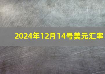 2024年12月14号美元汇率