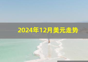 2024年12月美元走势