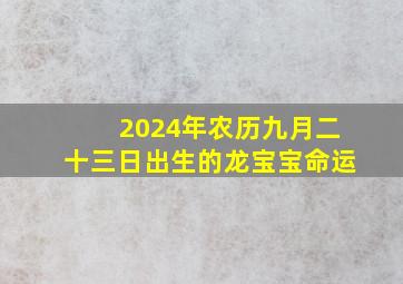 2024年农历九月二十三日出生的龙宝宝命运